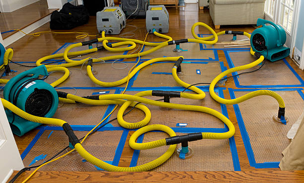 Professional Water Damage Repair technician working in Leakesville, MS