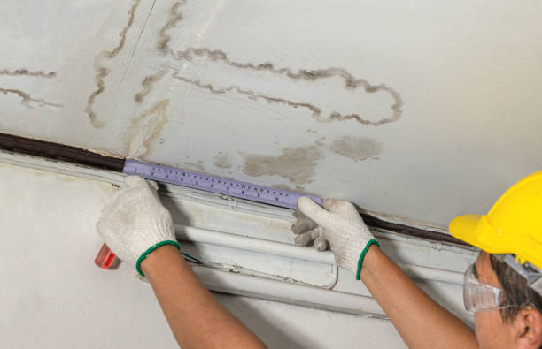 Affordable Water Damage Repair solutions in Leakesville, MS